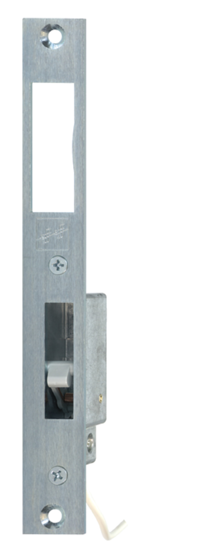 Riegelschaltkontakt Modell 875 mit Schließblech