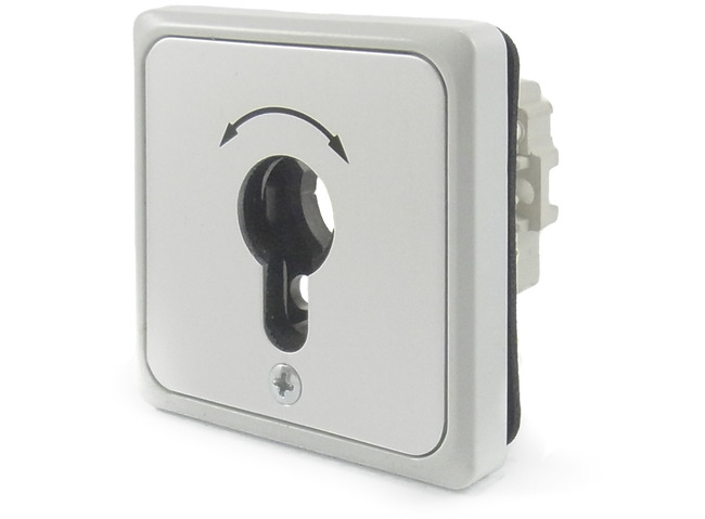 Key-operated switch V.000/53/71_Model